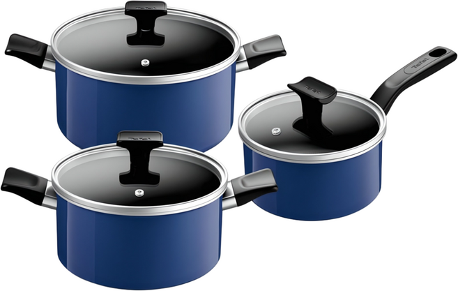 테팔 인덕션 세이버리 냄비 3종(편수16+양수20+24), 상세 설명 참조, 1세트