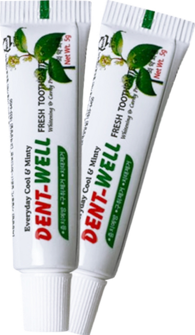 덴트웰 일회용 치약 (5G X 1000EA), 5g, 2000개