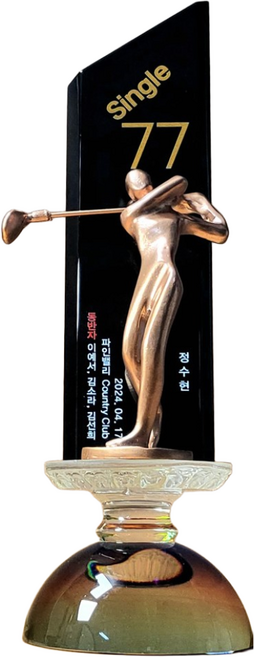 상패팡팡 골프트로피 홀인원트로피 싱글패 이글패 홀인원기념패 홀인원패021, 1개, 브론즈,블랙