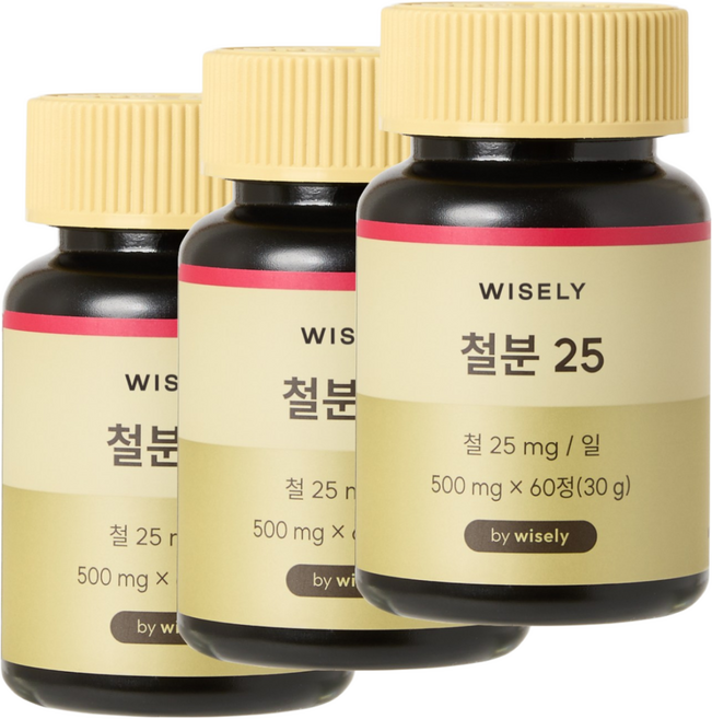 와이즐리 철분 25 (2개월분), 60정, 3세트