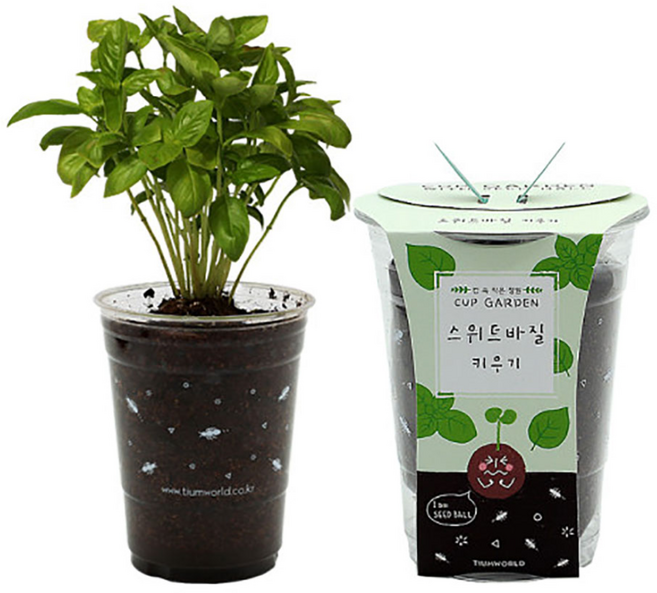 틔움 컵가든 스위트바질 키우기세트, 1개