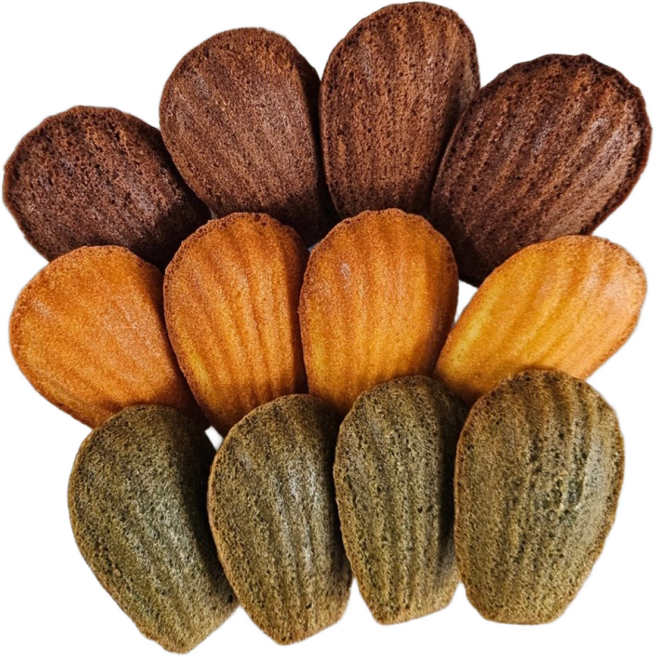 [2시 전 주문건 당일출고]쿠키굽는 발레리나 감사선물 강력추천 수제 마들렌 12개입 웨딩 수제쿠키 결혼답례쿠키 조문 조의 시보해제 승진 발령 퇴사 간식, 240g, 1박스