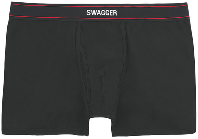 스웨거 남성 데이프레시 모달 드로즈 팬티 3장세트 / 박서 브리프 클래식 코튼 2.0