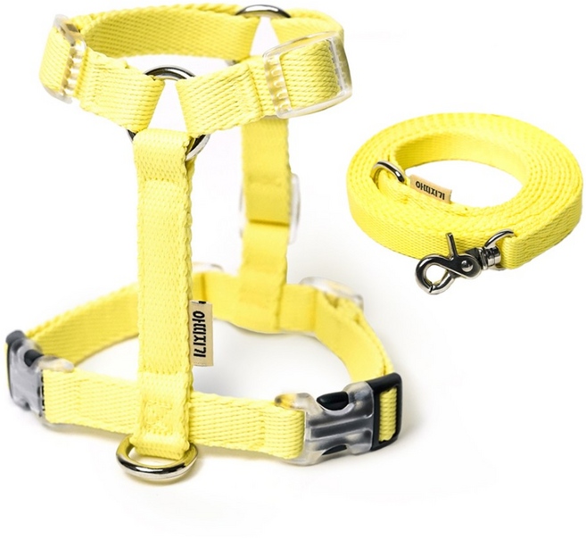 아띠지기 강아지 앞섬방지 H형 하네스 + 웨빙 리드줄 세트, 프리지아, 1세트