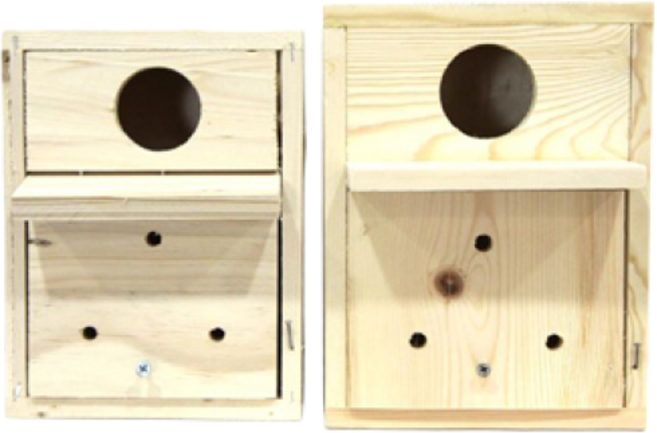 앵무새 알통 소형조 나무알통, 사랑앵무(잉꼬), 1개
