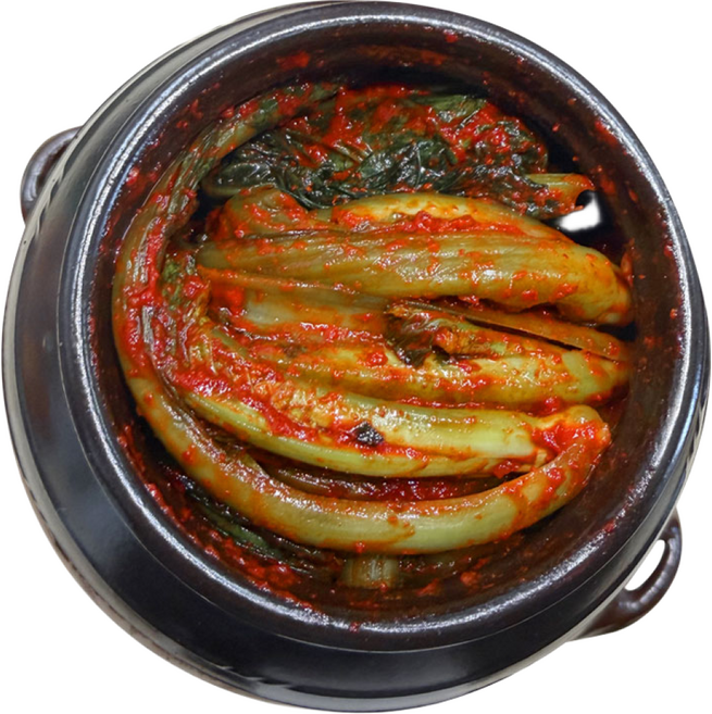 국내산 갓김치 HACCP인증 김백규 태백항아리 국산 재료로 만든 김치 당일생산 당일발송, 1박스, 5kg