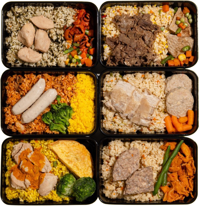 샐그램 단백식사 12팩(6종x2팩) 2주 다이어트 도시락 냉동 벌크업 맛있는 간편 탄단지 식단 볶음밥, 269g, 18개