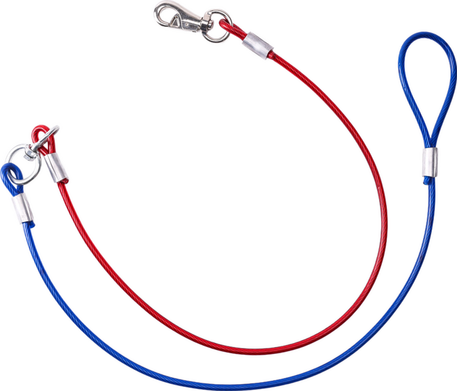 제이제이펫 반려견 와이어 개줄 리드줄 3mm 5mm 6mm 8mm 개목줄 코팅 칼라 와야줄, 혼합색, 1개