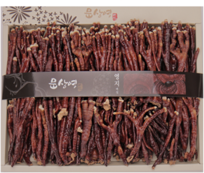 [문상영 버섯] 선물세트 무농약 녹각영지버섯 500g, 2박스