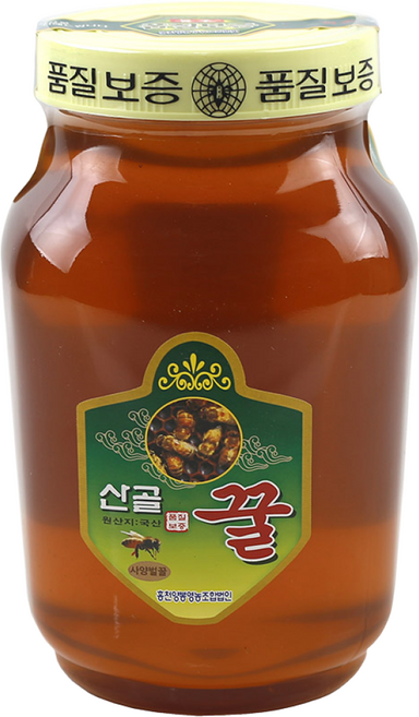 동광한방몰 더 진한 홍천 사양벌꿀, 1개, 2.4kg