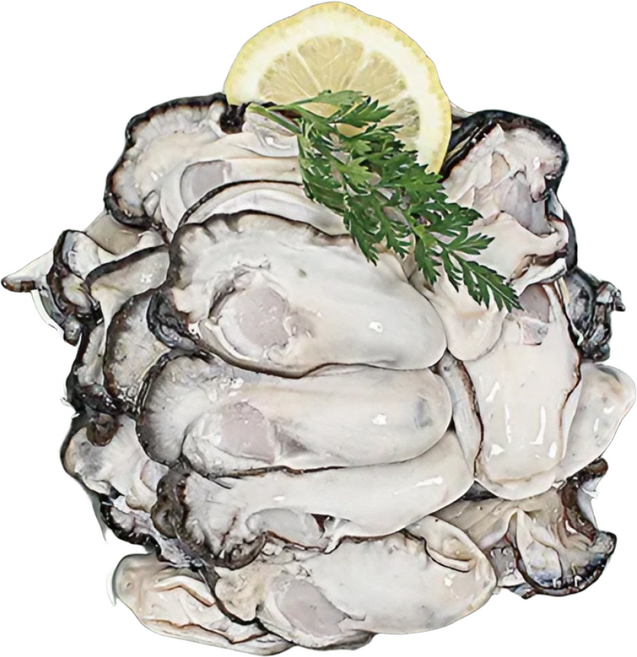 통영굴 제철 깐 생굴, 1개, 대굴 800g