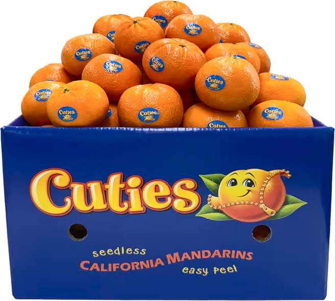 캘리포니아 꿀프룻 고당도 만다린, 1개, 1kg