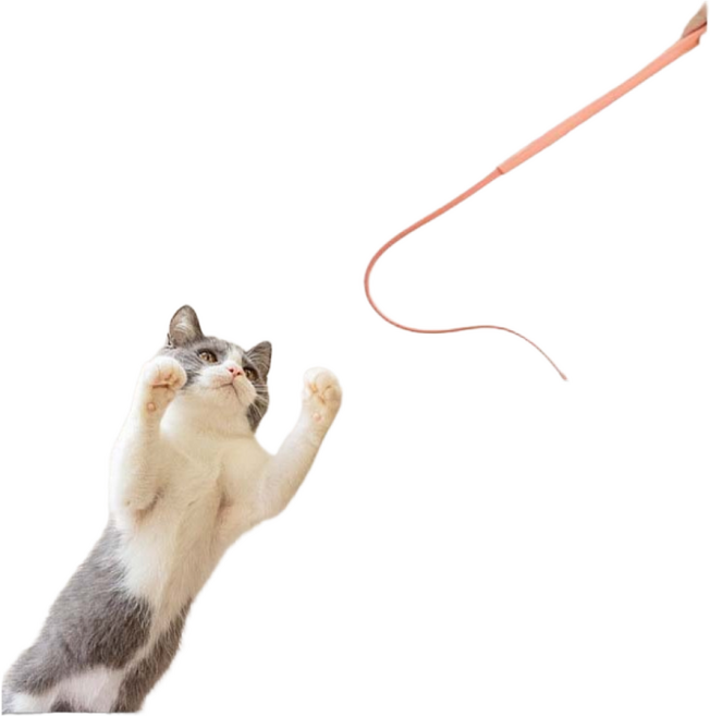 치트몰 1+1 실리콘 쥐꼬리 고양이장난감 낚시대, 2개, 핑크