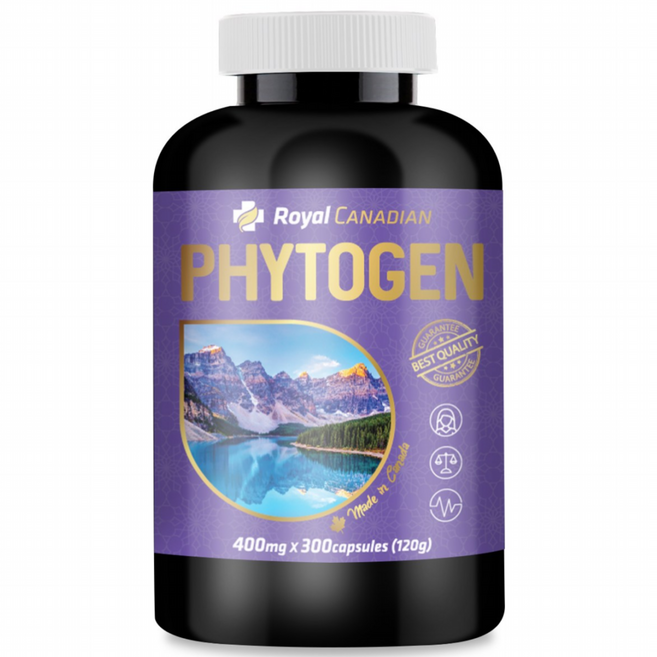 프리미엄 캐나다 파이토젠 400mg 60정 300정 LSDG 본사 직구, 1병