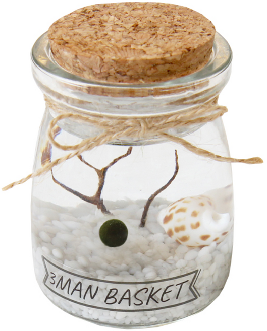 세남자바스켓 푸딩병 국산 마리모 DIY세트, 흰색 자갈, 1개