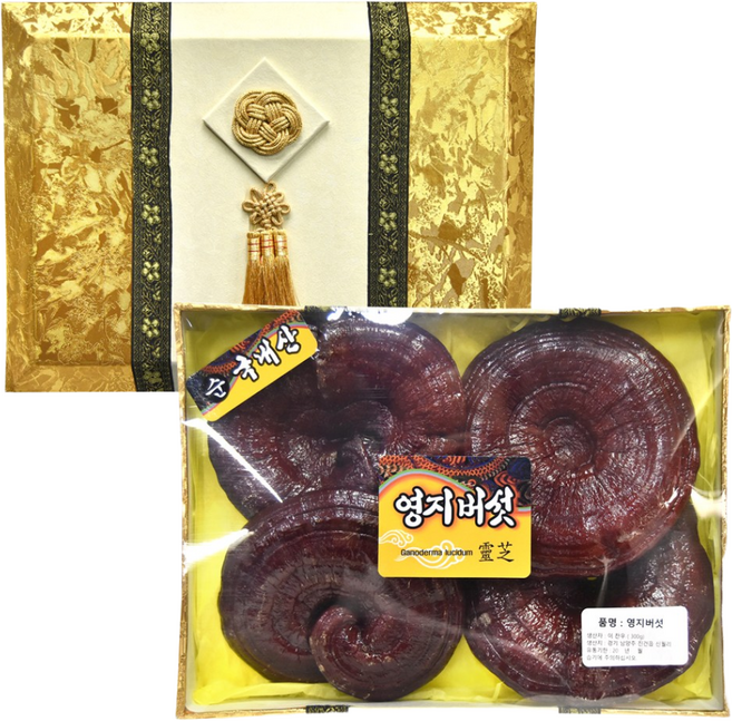 토종마을 영지버섯 선물세트 한지포장 300g, 1개