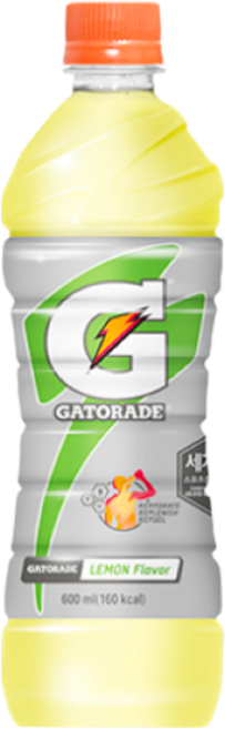 게토레이 레몬, 600ml, 12개