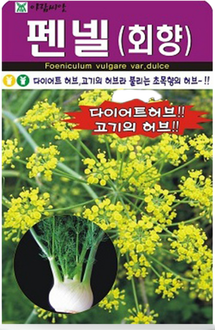 허브씨앗 펜넬씨앗 400립 펜넬 회향 허브씨