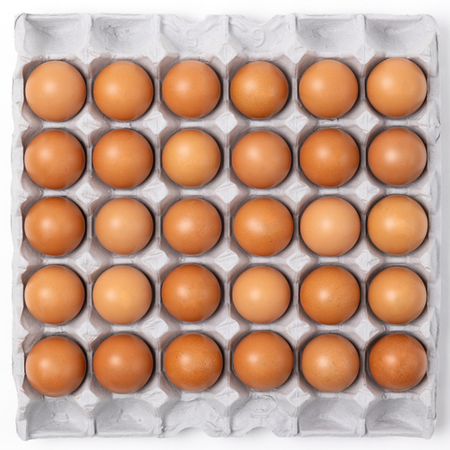 어린닭이 낳아 더욱 신선한 안심 구운란 30구 1050g, 대란 30구 (판포장), 1개
