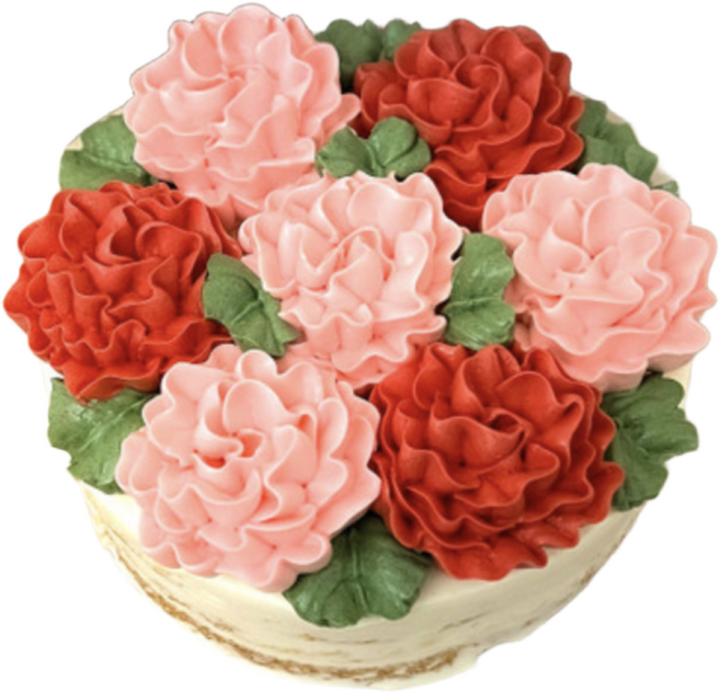 (평일 낮 12시전 주문 오늘출발) 어버이날 미니카네이션 케이크, 1개, 240g