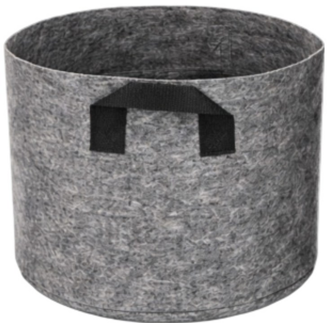 블루베리화분 부직포화분, 10개, 그레이