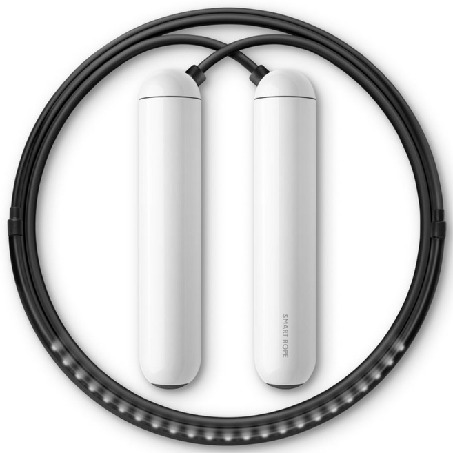 탱그램팩토리 스마트로프 LED, 화이트