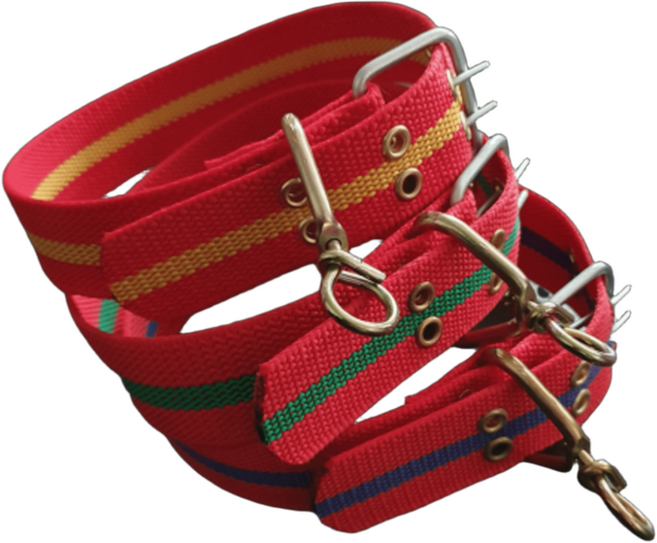 제이제이펫 강아지 산책 밸트 슈밸 시골 목줄 목걸이 중형견 대형견, 빨강, 1개