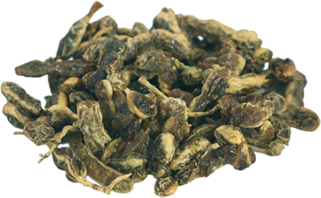 (주)백장생 회화나무열매(괴곽) 600g, 2개