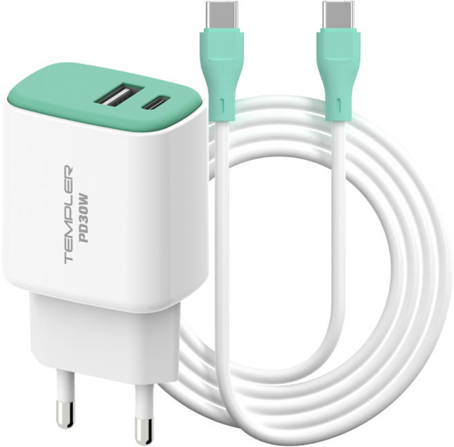 템플러 30W 2포트 C타입 PD 초고속충전기 + 45W 1M CtoC 케이블 세트, 1세트, 민트