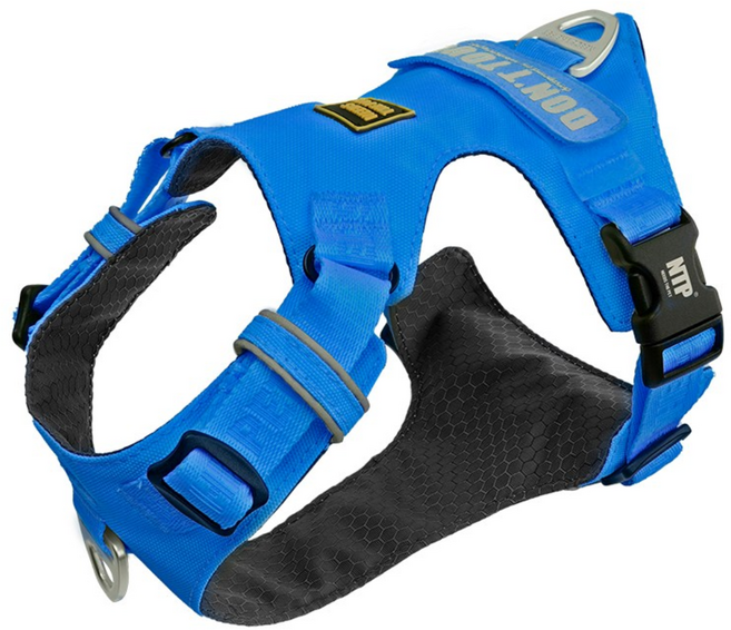 니즈더펫 강아지 인터라켄 초경량 라이트 하네스, 블루, 1개