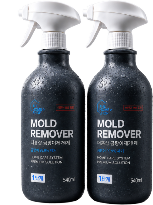 더홈샵 초강력 뿌리는 곰팡이제거제, 2개, 540ml