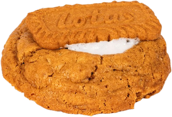 오렌지포인트 수제 로투스 스모어쿠키, 12개, 65g