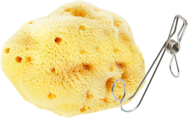 룰라러브 천연해면 (뷰티_세안용) - 대 세안용 스펀지, 1개