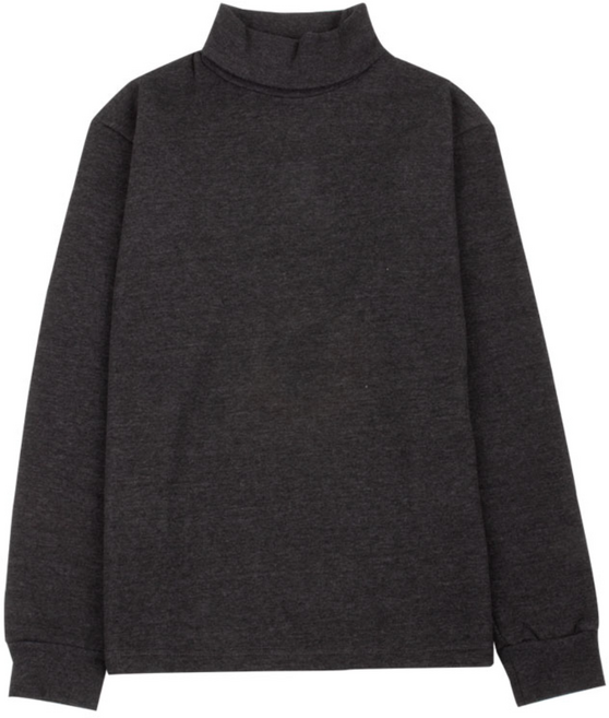 마이폴 기모 남자 목폴라 기본 이너 데일리 폴라티