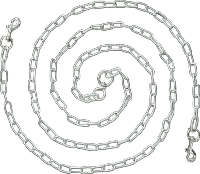 제이제이펫 체인 개줄 리드줄 양방향 스냅 길이 2.5M 개목줄 체인개줄 소형견 중형견, 1개