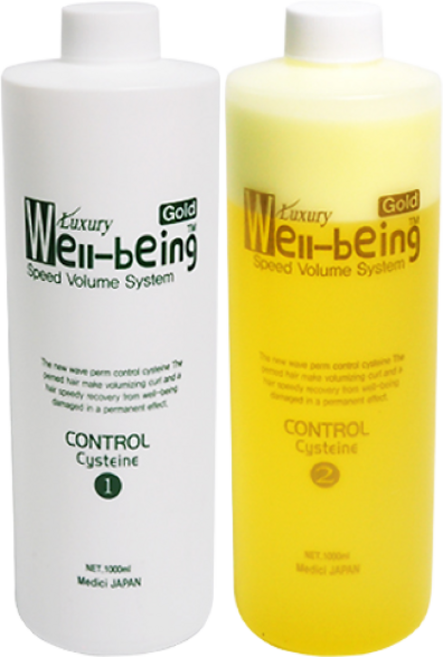 메디쉬제팬 럭셔리 웰빙 스피드 골드 볼륨펌 1000ml, 1개, 2000ml