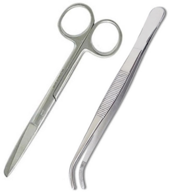 의료용 S/B 가위 14cm + 무구 곡 14cm 핀셋 세트, 1개