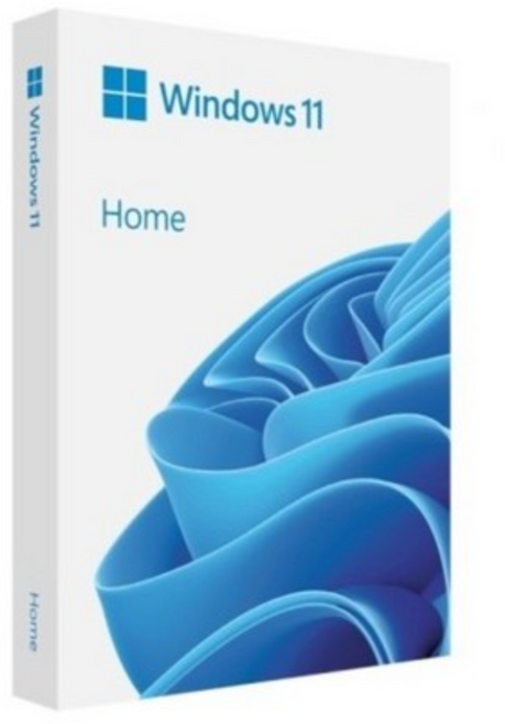 마이크로소프트 Windows 11 Home 처음사용자용 FPP USB, HAJ-00095