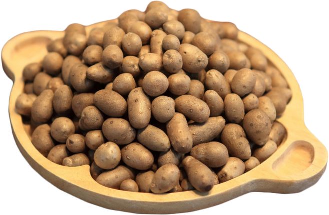 태나농장 GAP인증 마씨 마씨앗 영여자, 1박스, 5kg