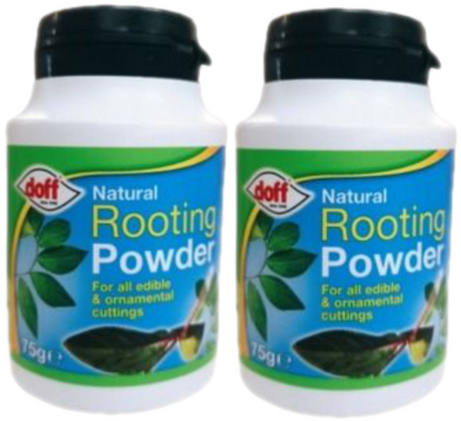 내추럴 루팅 파우더 루팅파우더 삽목, 75g, 2개