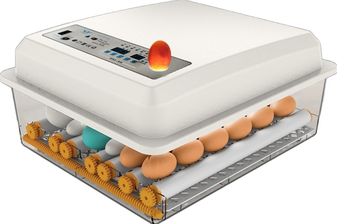 AKRUA 병아리부화기가정용 병아리부화기 계란부화기 자동병아리부화기 병아리자동부화기 계란부화기가정용 달걀부화기 닭 오리 거위 비둘기 부화기, 1개, 화이트 16매