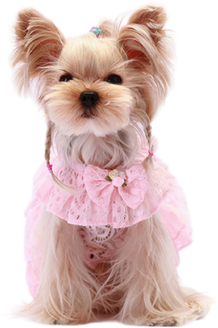 앨리스D 강아지옷 드레스_213303, 핑크, 1개