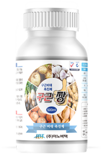구근짱 마늘 양파 영양제 구근 비대 크고 무겁게 감자 고구마 비료, 1개, 500ml