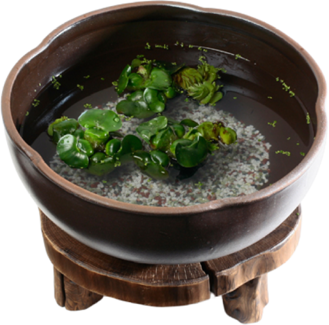 비채 옹기 호박 도자기 수반 중