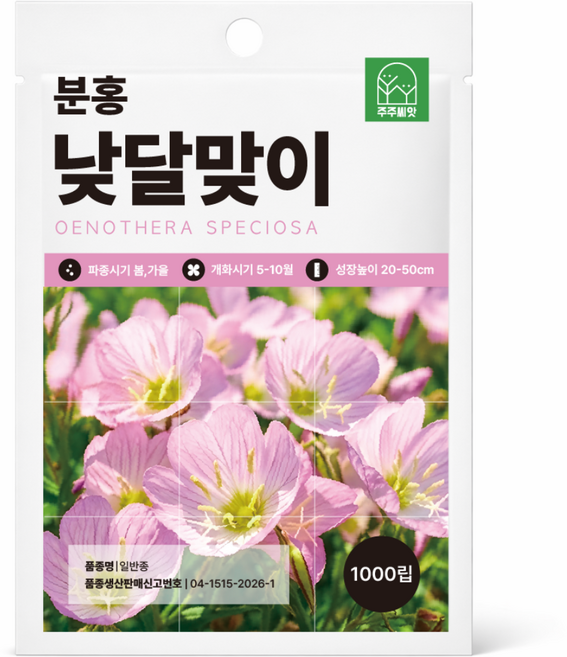 주주씨앗 분홍 낮달맞이 씨앗 1000립 노지월동 다년생 야생화 꽃씨, 1개