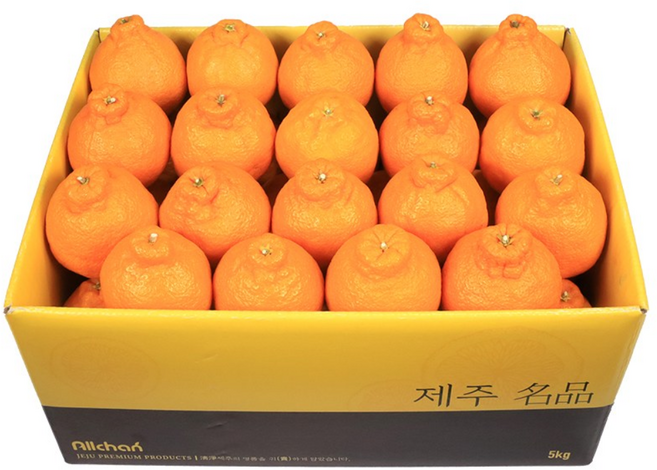 삼다몰 제주 한라봉 선물세트 3kg 5kg 10kg, 1박스, 꼬마한라봉 소과 5kg(28~35과 내외)