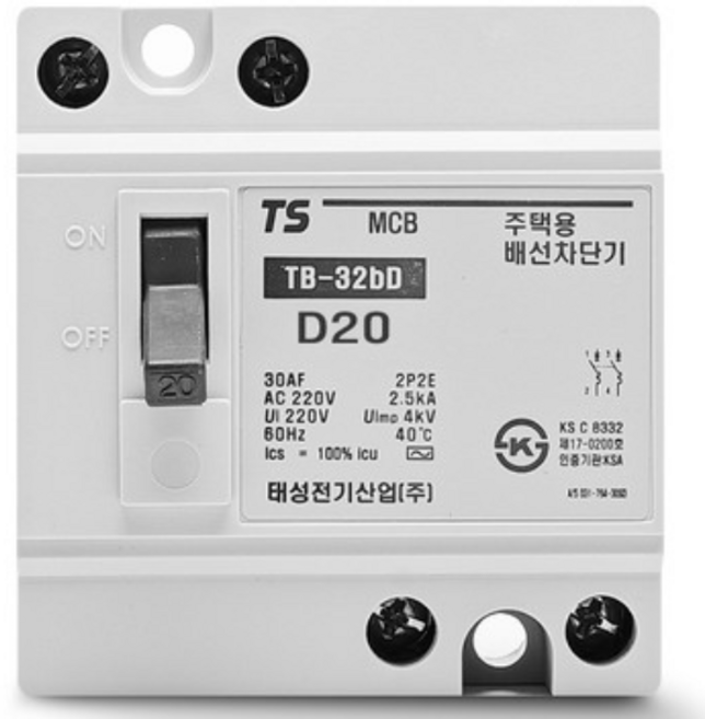 태성 배선용차단기 주택용 메인 2P 20A, 1개