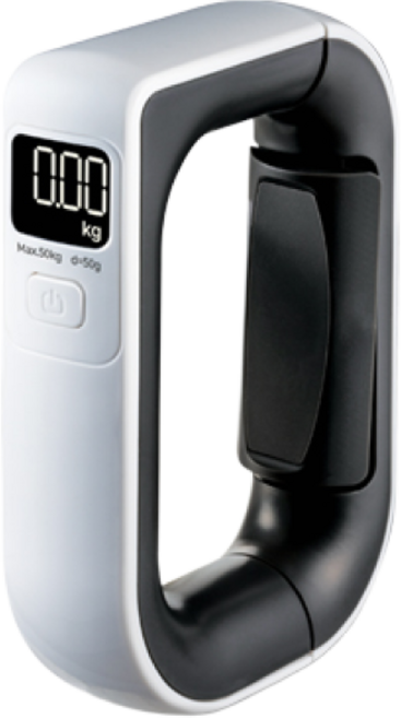 카스 휴대용 여행용 저울 PHS-800 캐리어 무게측정, 1개, 화이트