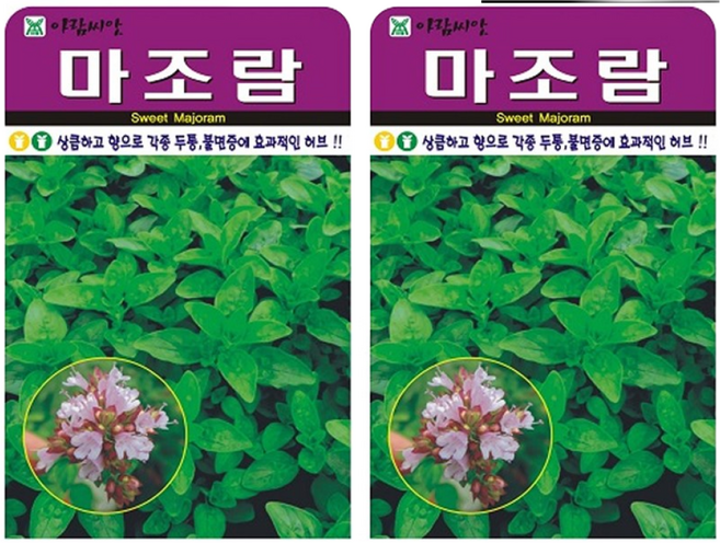 허브 마조람 씨앗 (합 2000립) 허브씨 종자, 2개
