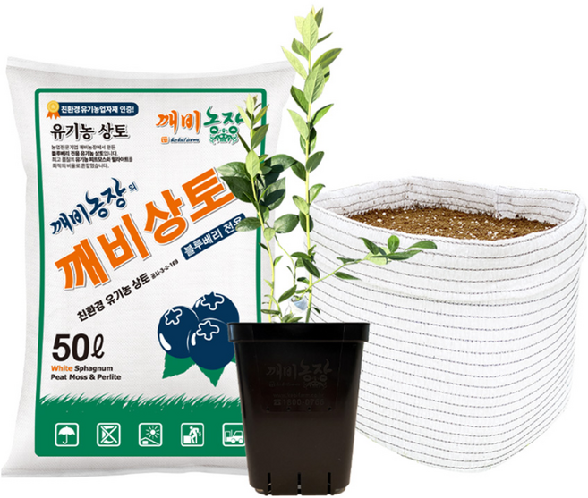 깨비농장 블루베리 재배 1주 DIY 세트 [블루베리 나무 + 화분 + 상토 세트], 1. 메가블루세트(09012217), 1개